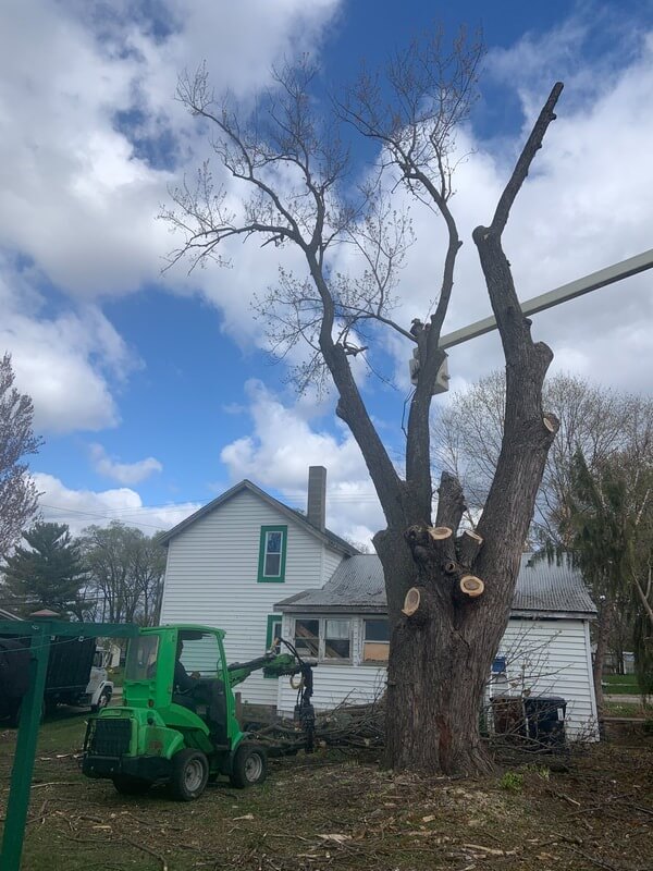Danville Tree Company Image